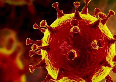 Cientistas comprovam coinfecção de covid por variantes diferentes