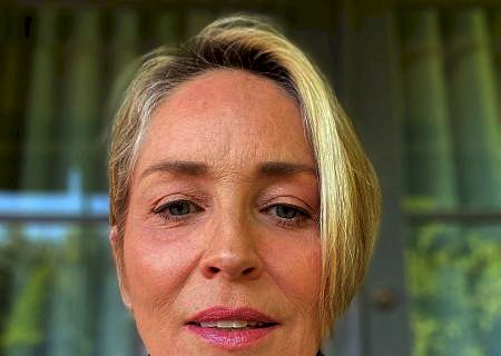 Sharon Stone diz que foi aconselhada a transar com colega por 'química na tela'