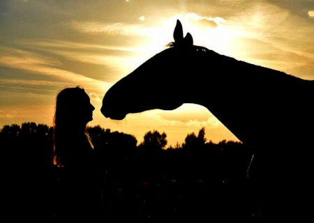 Covid-19: Butantan pede autorização para testar soro com anticorpos de cavalos em humanos