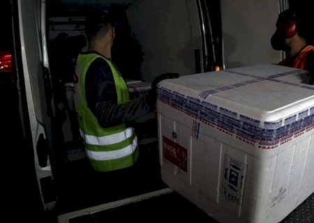 MS recebe 14º lote de vacina com 45,5 mil doses enviadas pelo Ministério da Saúde