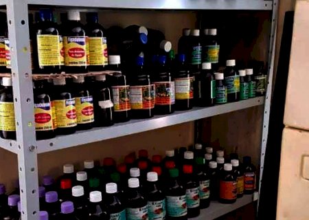 Comerciante &eacute; preso por vender raizadas com promessa de tratamento terap&ecirc;utico