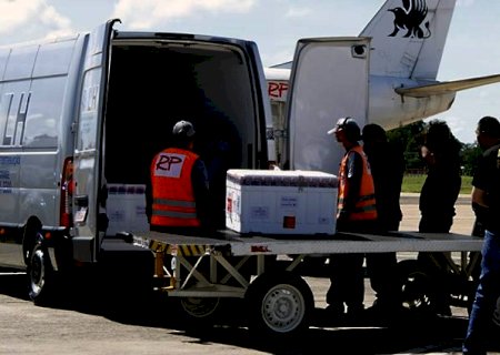 MS recebe novo lote com 109,5 mil doses de vacina contra coronavírus nesta quinta-feira