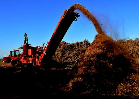 Destinar resíduos corretamente é base para produção mais sustentável e com qualidade