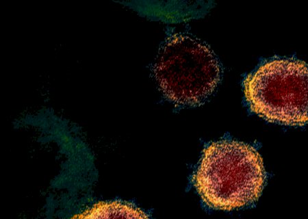 Cientistas criam antiviral com 99,9% de eficácia contra o coronavírus