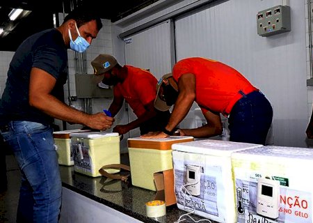 MS é líder no ranking nacional e bate recorde na aplicação de vacina