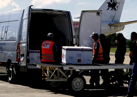 Mato Grosso do Sul recebe nesta quinta-feira remessa com doses da Pfizer e na sexta-feira doses da Coronavac