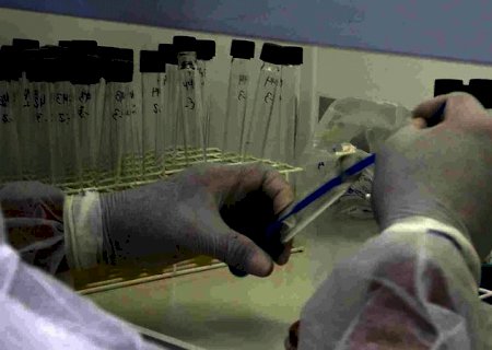 Em 24 horas, Estado registrou mais 50 mortes e 1,3 mil novos casos de covid-19