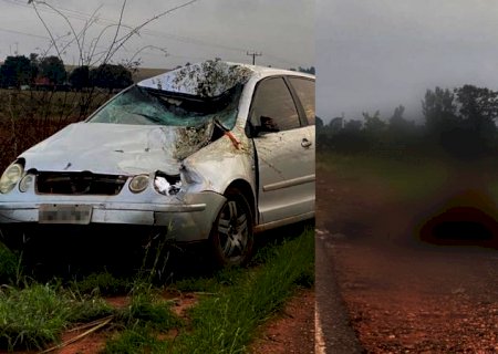 Motorista atropela cavalo em rodovia e uma pessoa é socorrida pelos bombeiros