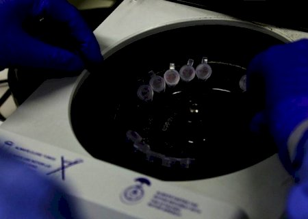 Lei permite que indústria veterinária produza vacina contra covid