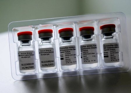 CoronaVac dobra anticorpos em quem já teve covid-19, diz pesquisa