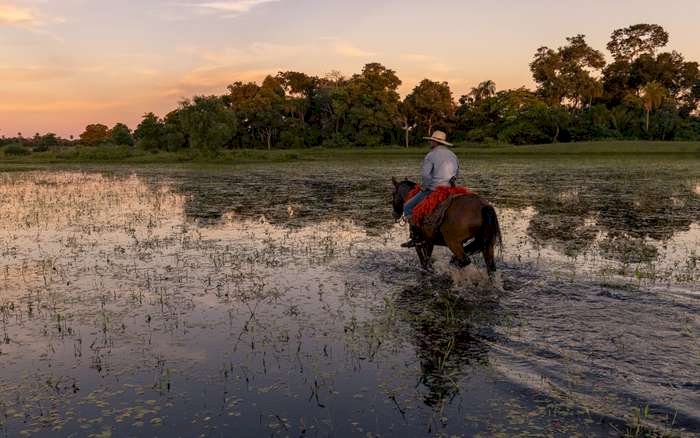 Peão de 50 anos morre esmagado por cavalo no Pantanal - JD1 Notícias