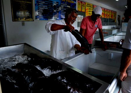 Doença “urina preta' pode estar relacionada a consumo de frutos do mar