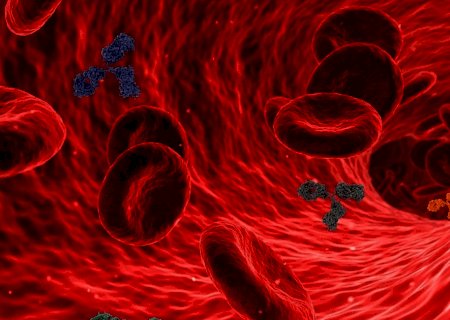 Identificado novo tipo de célula que torna os sobreviventes da sepse mais propensos a infecções