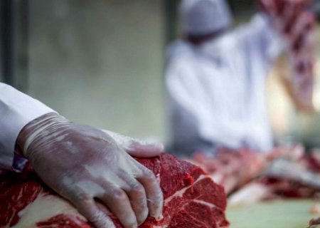 Brasil suspende vendas de carne bovina para China