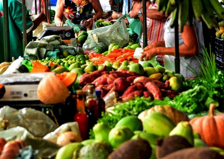 Proteínas x carboidratos: saiba como montar um cardápio para ganhar massa muscular