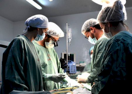 Santa Casa de Campo Grande realiza pela 1ª vez captação de fígado para transplante com equipe própria