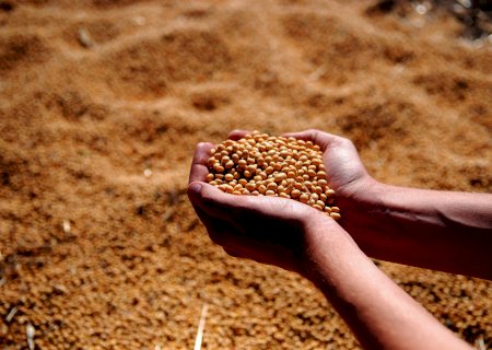 Consultor vê soja brasileira superando 150 milhões de t produzidas em 2022