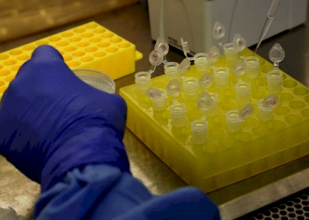 Mato Grosso do Sul registra mil casos de covid-19 em 24h