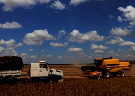 MS tem 13 cidades entre as 100 mais ricas do país, aponta Ministério