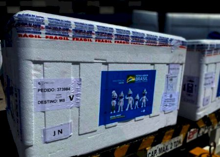 De 18.300 doses de vacina que chegam amanhã, 7.268 serão para crianças indígenas