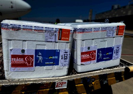 SES recebe 59.620 doses de vacinas para uso pediátrico de Coronavac e Pfizer