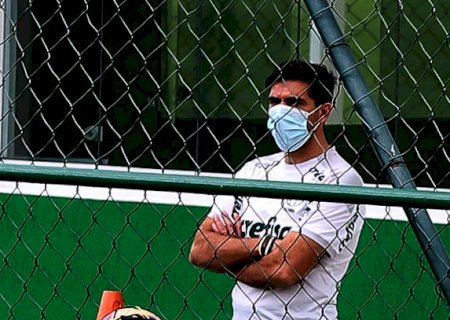 São eles: o goleiro Weverton, o volante Patrick de Paula, o meia Gustavo Scarpa e os atacantes Rafael Navarro e Breno  Lopes