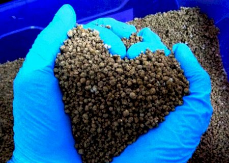 Preços de fertilizantes podem encarecer alimentos, aponta relatório