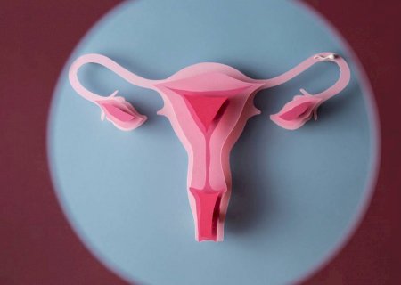 Entenda os riscos e benefícios da reposição hormonal na menopausa