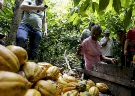 Técnicas agrícolas que reduzem dependência do Brasil por fertilizantes