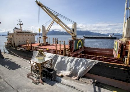 Veja de onde o Brasil mais compra fertilizante