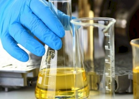 Indústria de biodiesel quer previsibilidade na retomada da taxa de mistura | Brasilagro