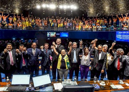Congresso promulga emenda do piso salarial dos agentes comunitários de saúde