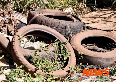 Em seis meses, MS supera mortes por dengue de 2021 e quase dobra notificações