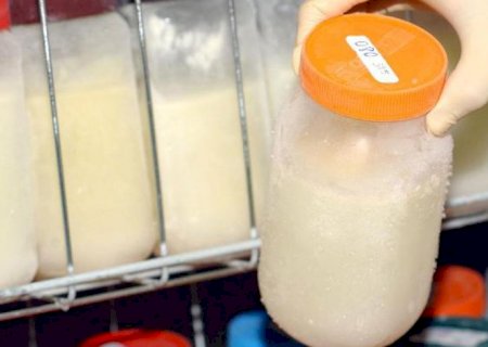 Pesquisadores usam leite materno contra covid-19 em imunossuprimido