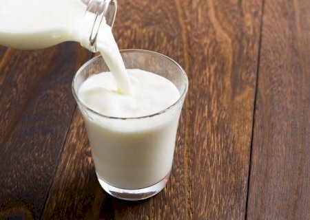 Leite é considerado de alta densidade nutricional e rico em cálcio