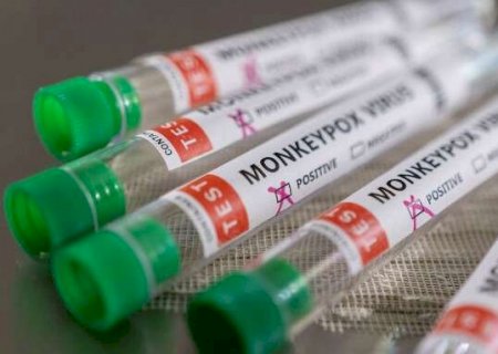 Anvisa analisa antiviral para tratar varíola dos macacos