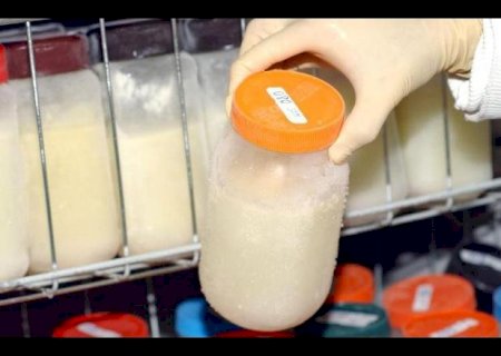 Agosto dourado: bancos de leite possuem papel fundamental nas unidades neonatais