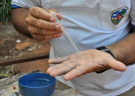 Casos de dengue aumentam 189% no Brasil em 2022; saiba como prevenir a doença