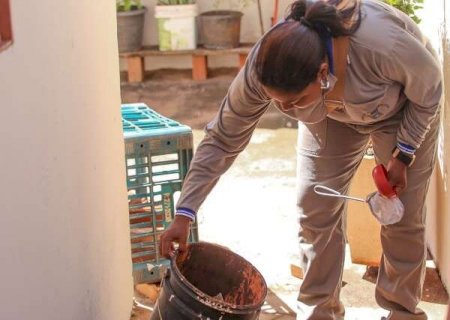 Casos de dengue mais que dobram em MS neste ano