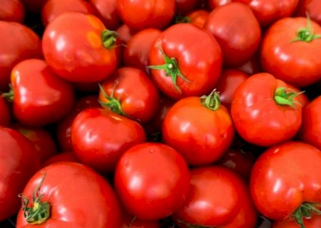 Tomate faz bem? A resposta é sim!