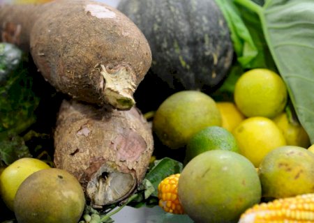 Brasileiros estão dispostos a pagar mais por alimentos saudáveis