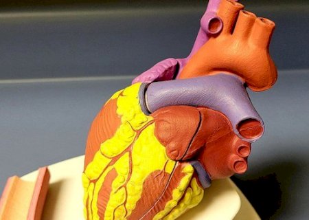 Cuidados com o coração: quando buscar um cardiologista?