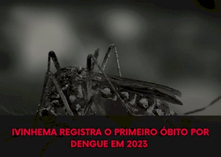 Ivinhema-Confirmada a primeira morte por dengue neste ano .