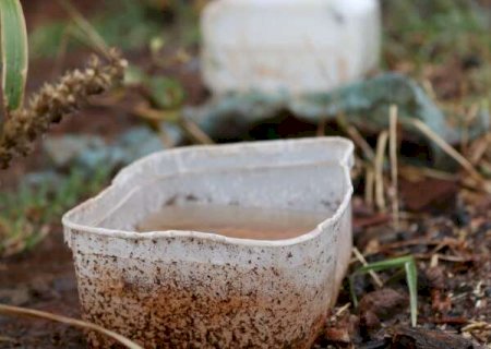 Em 5 meses, dengue mata mais do que em 2022 inteiro em Mato Grosso do Sul
