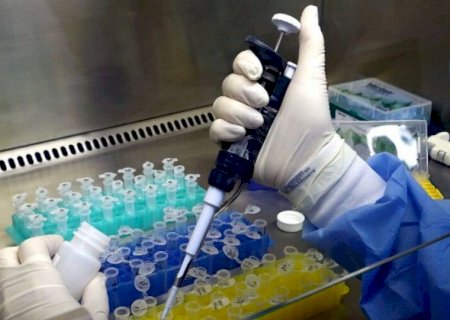MS tem média de quase 300 novos casos confirmados de dengue por dia 