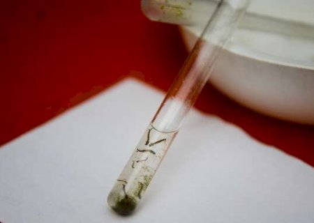 Estado registra uma morte e 2 mil novos casos de dengue em uma semana