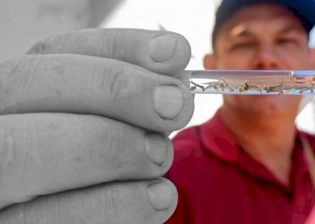 Com adultos 'imunes', pessoas de até 15 anos estarão na mira da dengue tipo 3 em MS
