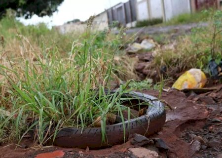 MS tem média de 164 novos casos de dengue por dia