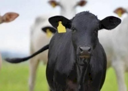 China paga menor preço pela carne do Brasil desde novembro de 2021