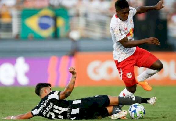 Com empate do Palmeiras, Botafogo nem precisa entrar em campo para seguir  líder do Brasileirão. : r/futebol
